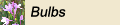 Bulbs