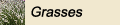 Grasses