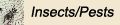Insects & Pests