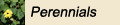 Perennials