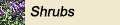 Shrubs