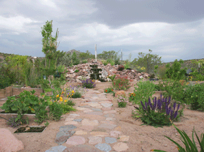 Desert Garden with water garden in New Mexico